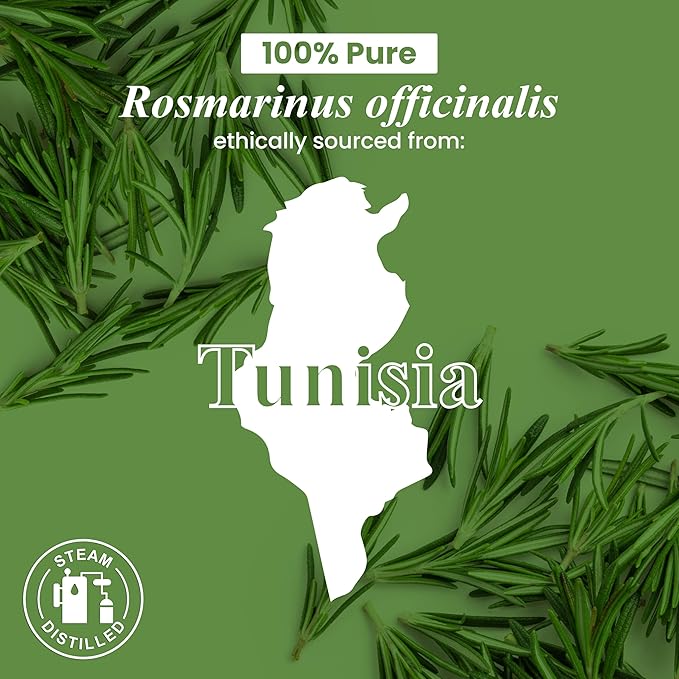 Handcraft Blends Rosemary Essential Oil – 1 Fl Oz – 100% Pure and Natural – Premium Grade Essential Oil for Diffuser and Aromatherapy, Skin, Massage, Candle and Soap Making Fragrance