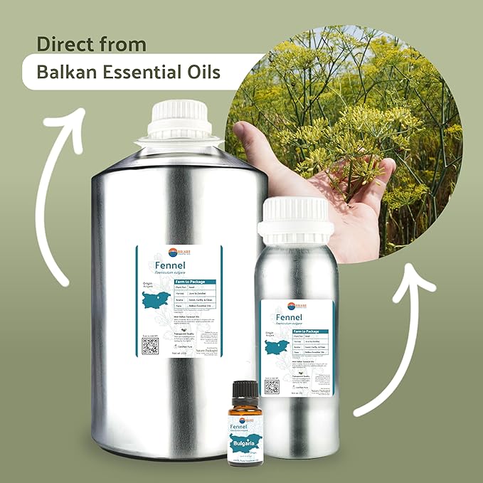 Fennel Essential Oil (Sweet Fennel) - Direct from Balkan Essential Oils - Pure Aromatherapy Diffuser Oils | 100% Pure Therapeutic Grade Natural Aceite de Hinojo (15ml)