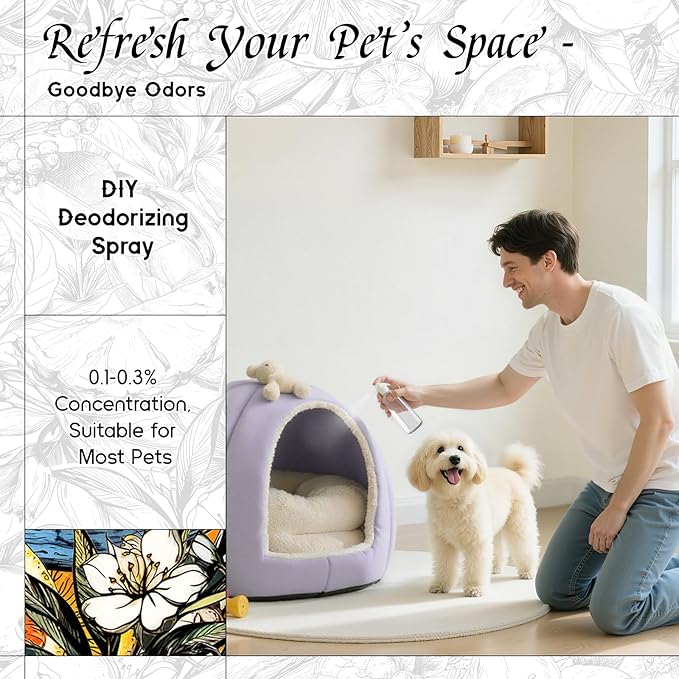 HIQILI Fortunate Wish Fragrance Oil for Diffusers & Candle Making, Inspired by A.na Su Luck-Wish, Skin Safe Scented Oil for Soap, Laundry, Vegan, Long Lasting - 5.07 Fl Oz