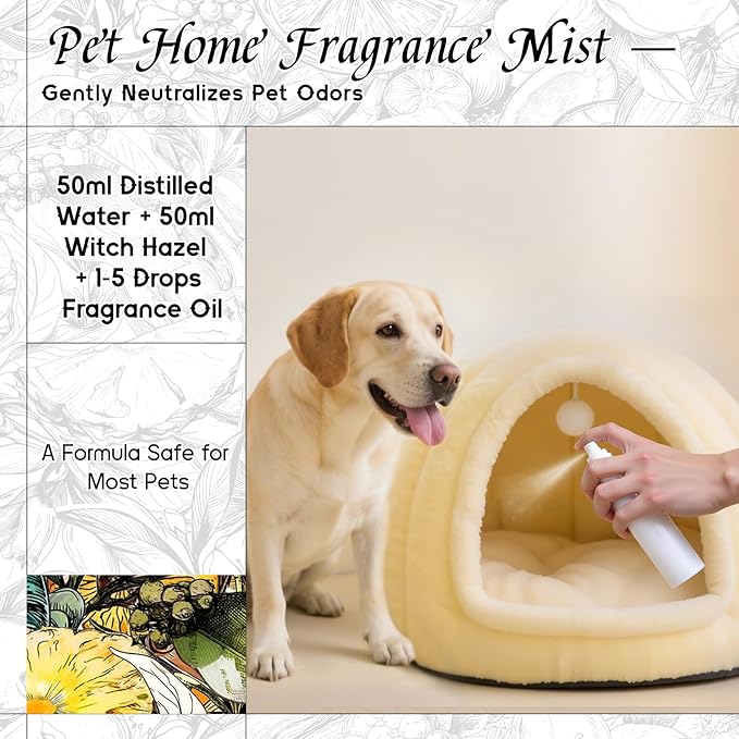 HIQILI Tidal Sonata Fragrance Oil for Diffuser, Ocean & Lemon Scents, Candle & Soap Making, Personal Care Scenting, Aquatic Notes, Long-Lasting Scents - 5.07 Fl Oz