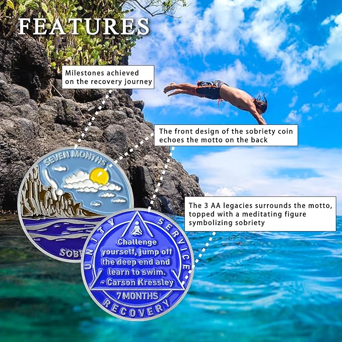 7 Month Sobriety Coin Sobriety Chips AA Chip AA Coins Sober Token Recovery Medallion NA Chips NA Coins from 1 to 12 Months Plastic case Included-Baking Paint Process