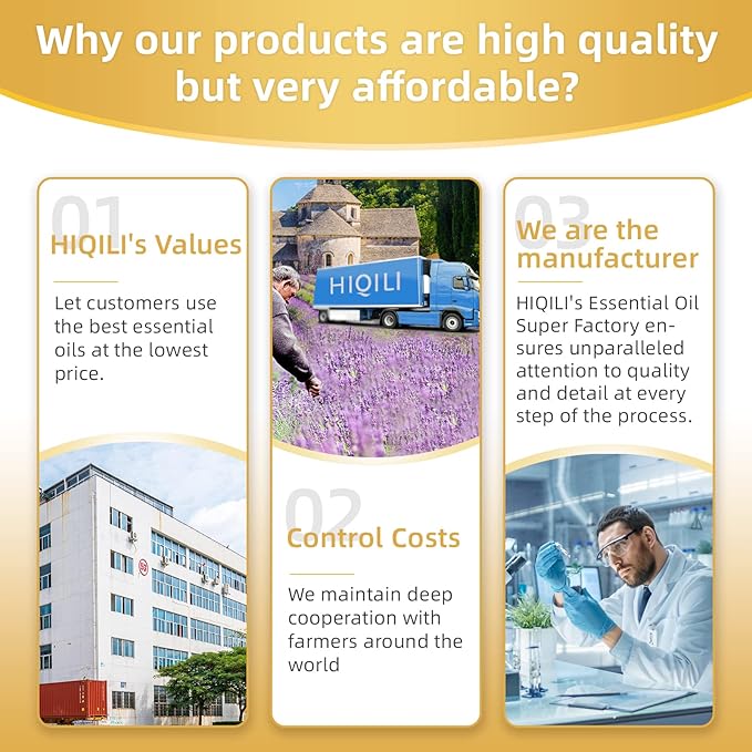 HIQILI 16 Fl Oz Ginger Oil, 100% Pure Natural Ginger Essential Oil for Hair, Massage, Skin - 500ML