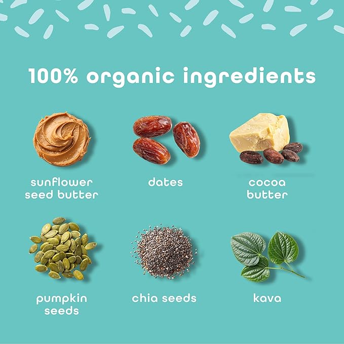 Feel Vegan Protein Bars | Vanilla Spice | Keto | Gluten Free | Organic | Kava | 15g Protein | Low Carb | Dairy Free | Grain Free | Soy Free | Nut Free | Low Sugar | Non GMO - 10 Pack