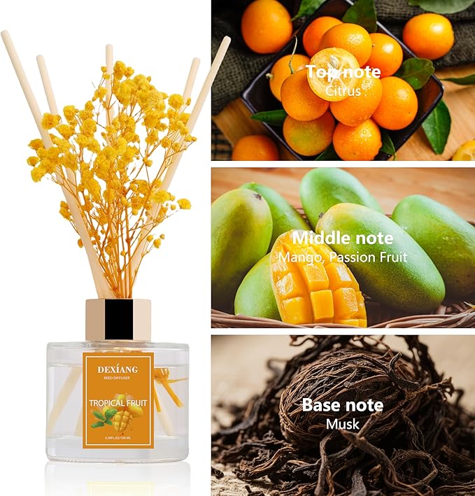 Reed Diffuser Set - 3.38 fl oz （100ml） Tropical Fruit Home Fragrance Reed Diffuser for Bathroom Shelf Decor 6 Reed Stick