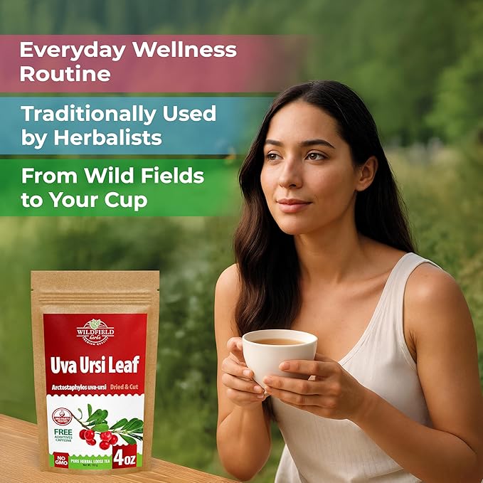 4 oz. Uva Ursi Leaf Uva Ursi Tea Herbal (Arctostaphylos Uva-Ursi) - 113g Uva-Ursi Herb Tea Arctostaphylos Uva-Ursi