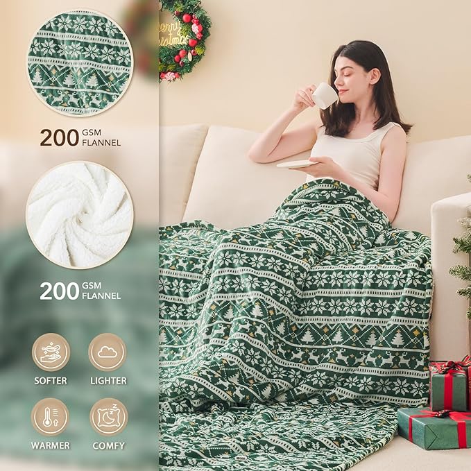 Homemate Heated Blanket Electric King Size - 100“x90“ Heating Blanket with 10 Fast Heat Levels 8 Hours Auto Off Ultra Soft Cozy Flannel Over-Heated Protection ETL Certification Keep Warming in Home