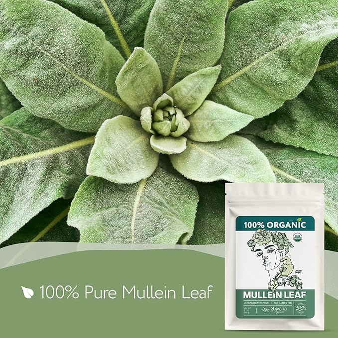 Organic Mullein Leaf Tea (2oz.) - Loose Leaf Dried Mullien Leaves - Gordolobo Tea Organica - Wild Harvested - Herbal Tea for Lungs & Respiratory Health