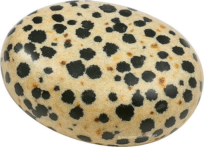 Amazing Gemstone Dalmatian Jasper Crystals and Healing Stones - Large Palm Stone Crystals Piedra - Crystal for Good Luck, Positive Energy, Meditation - Unique Stocking Stuffers Gifts for Women, Men