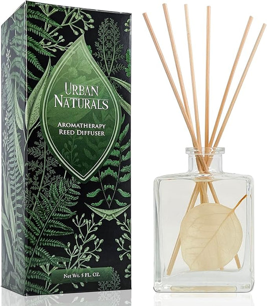 Urban Naturals Winter Eucalyptus Reed Diffuser Gift Set – Crisp Eucalyptus, Mint, Spruce, Cedar, Amber, Virginian Cedarwood – Sleek Rectangular Refillable Glass Bottle – Made in The USA