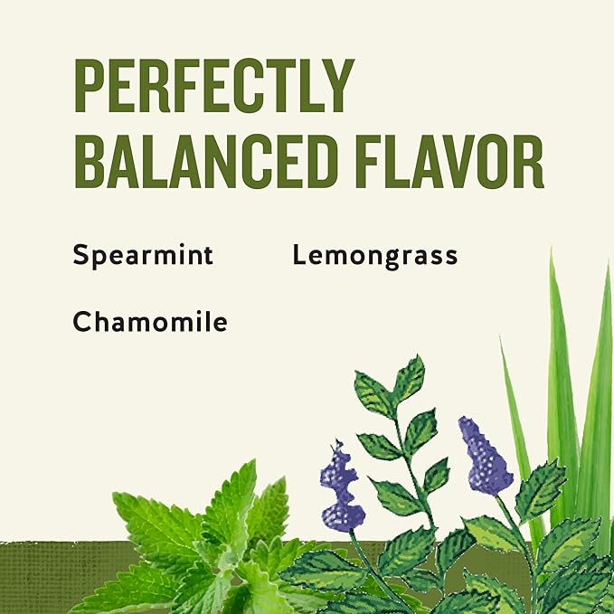 Celestial Seasonings Sleepytime Herbal Tea, Caffeine Free, 20 Tea Bags Box (Pack of 6)