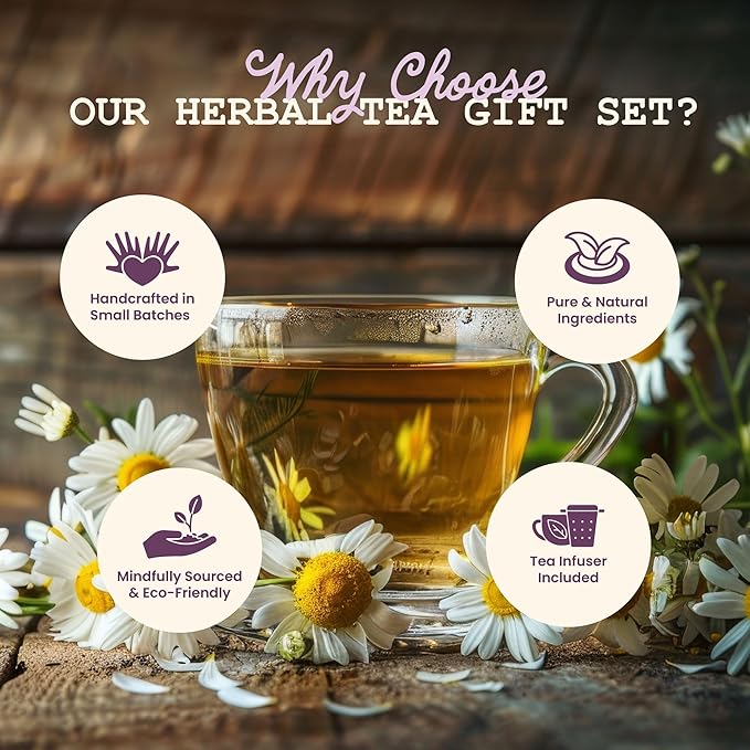 Smoke Camp Crafts Handcrafted Organic Loose Leaf Herbal Tea Gift Set with Stainless Steel Infuser, 10 Jars Caffeine Free Tisanes Variety Pack Assortment