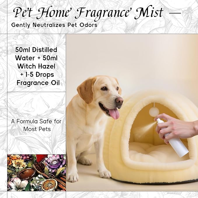 HIQILI Myrtle & Orange Blossom Fragrance Oil for Diffuser, Inspired by D.or Tera-Bella, Candle & Soap Making, Long-Lasting Citrus Floral Scent - 5.07 Fl Oz