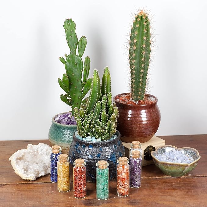 Cherry Tree Collection Crystals and Healing Stones Chakra Set - Mini Glass Bottles with Gemstone Chips - 7 Chakra Stones - Real Rocks and Crystals