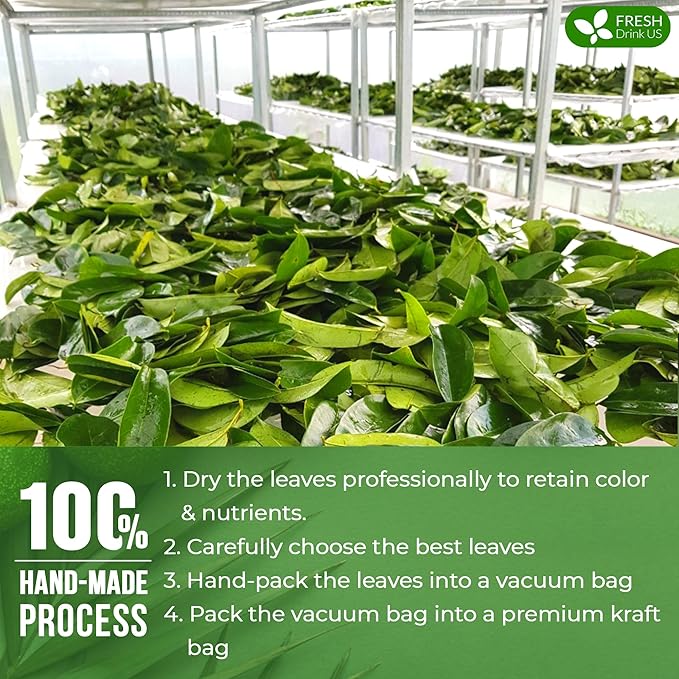 FreshDrinkUS, 330-350 Premium Soursop Dried Leaves Tea, 115 Cups, Hojas De Guanabana Whole Leaves, Wildcrafted, Graviola, Soursop, Guanabana Tea, Loose Leaf Herbal Tea, Gluten/Sugar/Caffeine Free