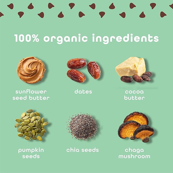 Feel Vegan Protein Bars | Mint Chocolate Chip | Keto | Gluten Free | Organic | Chaga Mushroom | 15g Plant Protein | Low Carb | High Protein | Dairy Free | Low Sugar | Grain Free | Nut Free | Soy Free