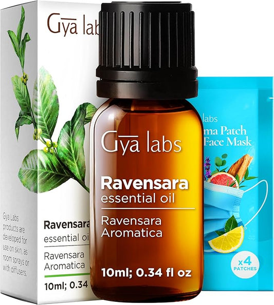 Gya Labs Ravensara Essential Oil - 0.34 Fl Oz - for Hair, Skin, Diffuser, Aromatherapy & DIY Candle Making Scent