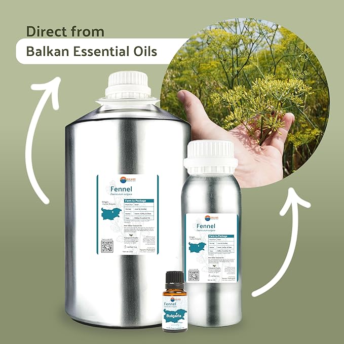 Fennel Essential Oil (Sweet Fennel) - Direct from Balkan Essential Oils - Pure Aromatherapy Diffuser Oils | 100% Pure Therapeutic Grade Natural Aceite de Hinojo (15ml)