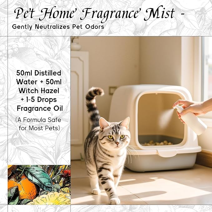 HIQILI Pomelo Paradise Fragrance Oil for Candle & Soap Making, Inspired by Alr-Cologne P.Paradis, Fresh Scents for Home Diffuser, Scenting Skin & Body, Bathroom - 1 Fl Oz