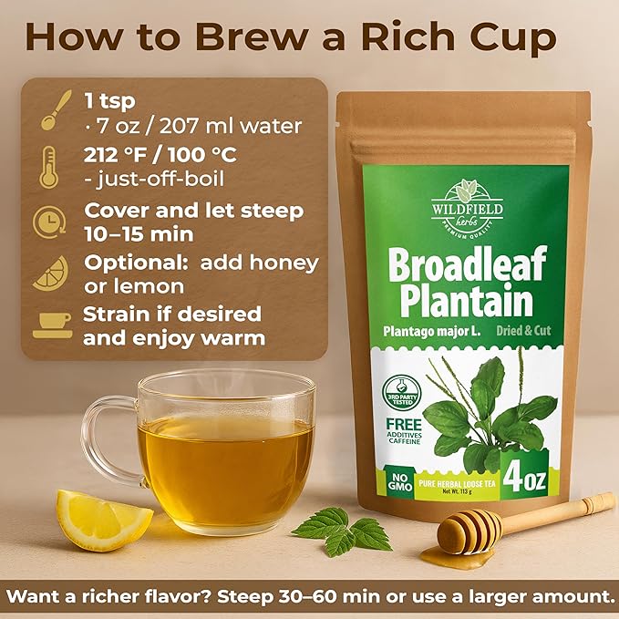 4 oz. Broadleaf Plantain Leaf Herb Tea Dried Plaintains Leaves (Plantago Majoris Folia) - 113g Greater Plantain Leaf Tea Llanten