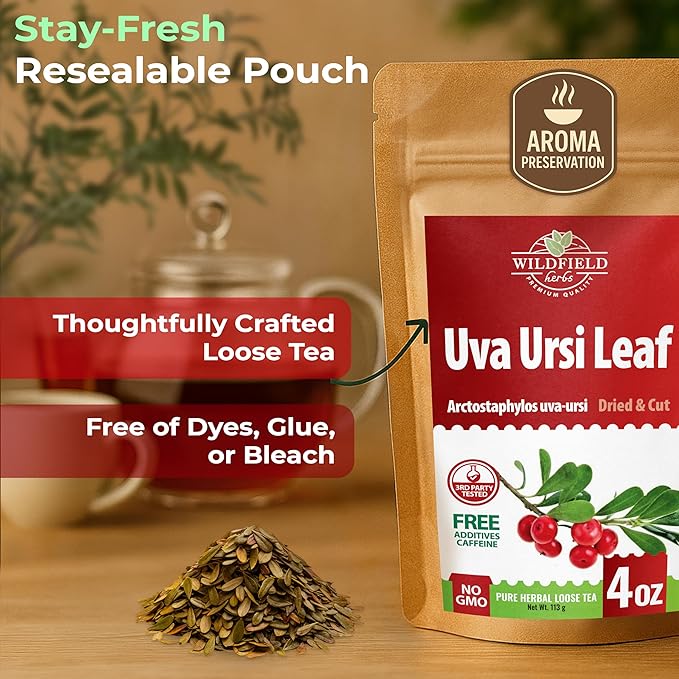 4 oz. Uva Ursi Leaf Uva Ursi Tea Herbal (Arctostaphylos Uva-Ursi) - 113g Uva-Ursi Herb Tea Arctostaphylos Uva-Ursi