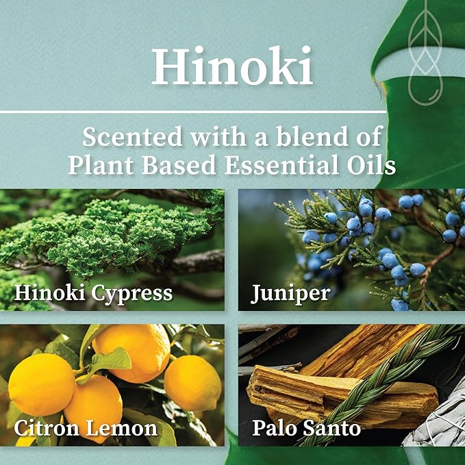 Hemlock Park Crackling Wood Wick Candle Handcrafted with Natural Coconut Wax (Large 16 oz, Hinoki)