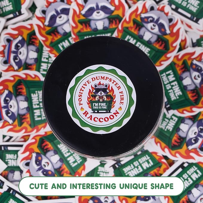 Funny Raccoon Dumpster Fire Affirmation Jar – 60 Sarcastic Positive Notes for Emotional Support, Mini Dumpster Fire Gift for Coworkers, Funny Office Desk Decor & Stocking Stuffers – SOLMAY