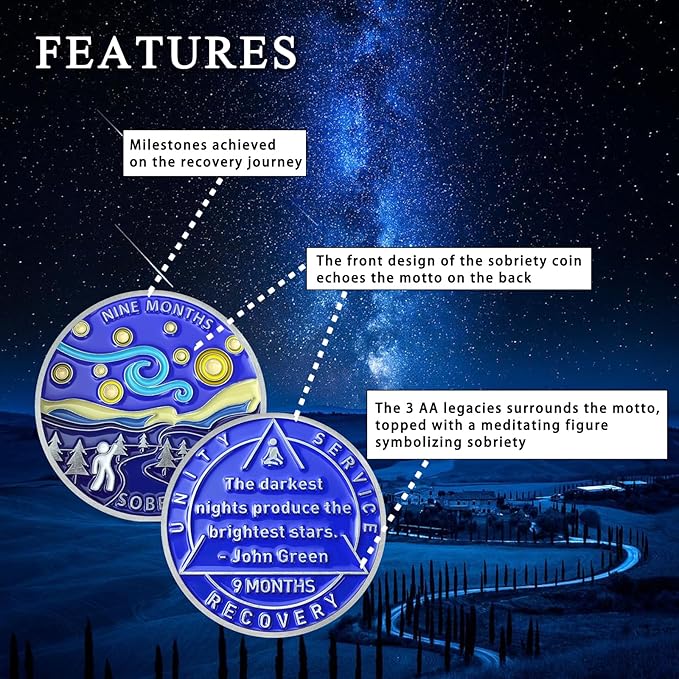 9 Month Sobriety Coin Sobriety Chips AA Chip AA Coins Sober Token Recovery Medallion NA Chips NA Coins from 1 to 12 Months Plastic case Included-9 Month Baking Paint