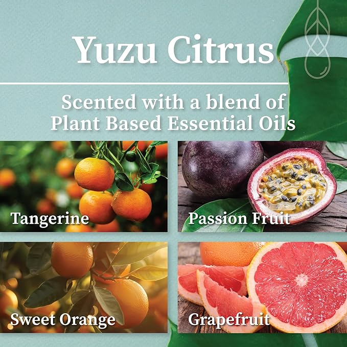 Hemlock Park Apothecary Wood Wick Candle Trio | Gift Set of Three 4 oz Candles Handcrafted with Natural Coconut Wax (Citrus | Pomelo, Yuzu Citrus, Blood Orange Sage)