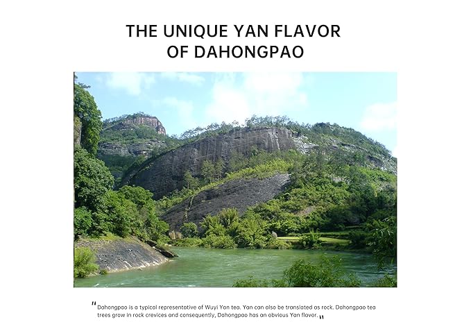 iTeaworld Da Hong Pao - Oolong Loose Leaf - Wuyi Rock Tea, Oolong Tea Loose Leaf Scent Whole Loose leaves for Daily Use, with 20 Eco-Conscious Tea Bags （3.5oz/100g)