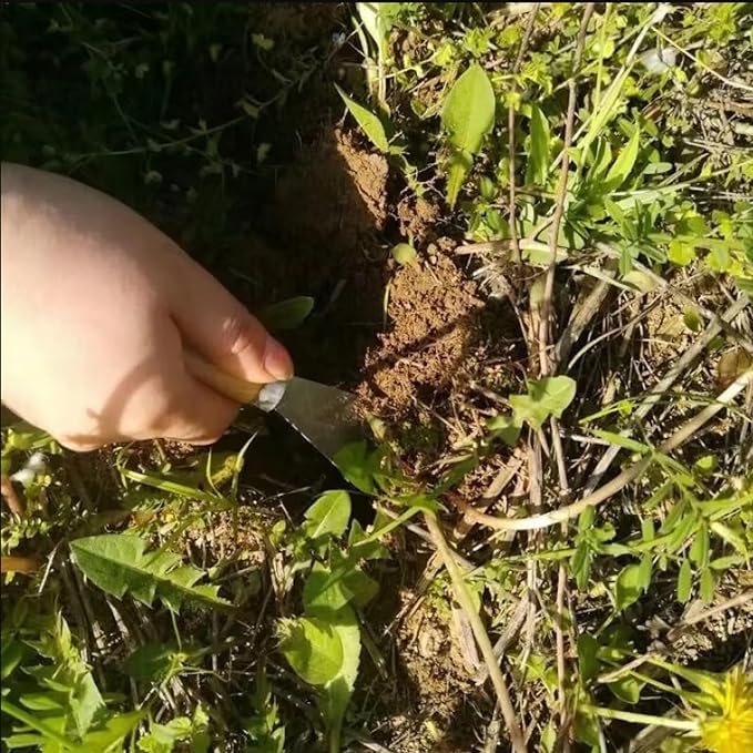 Dandelion Leaf & Root Tea bags, 30 Teabags,70g - Natural Dandelion Herbal Tea - Non-GMO - Caffeine-free