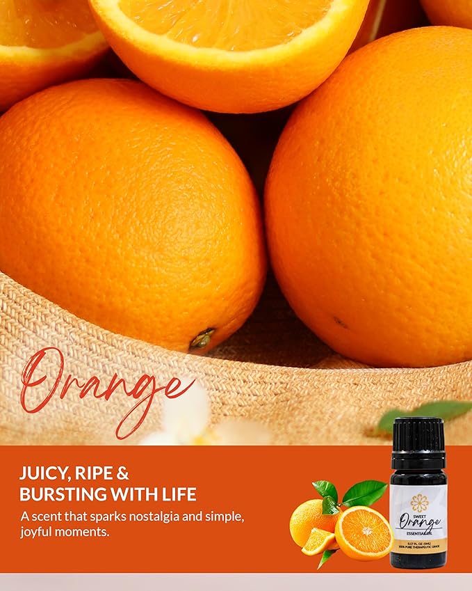 Essence Orange Essential Oil – 100% Pure & Therapeutic Grade – Perfect for Aromatherapy, Diffusers & Recharging Essence Nasal Diffuser Rings – Natural Stress & Mood Support (5mL)