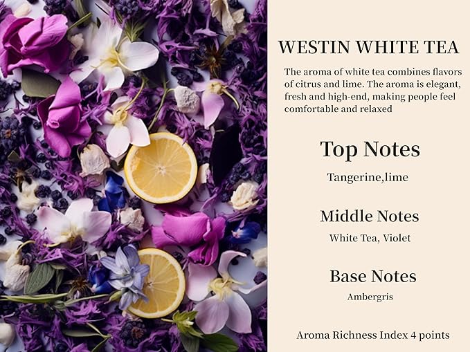 2Pack White Tea Scented Automotive Air Freshener Set, Car Accessories Decoration Hanging Scented Car Diffuser for Men Women Best Gifts