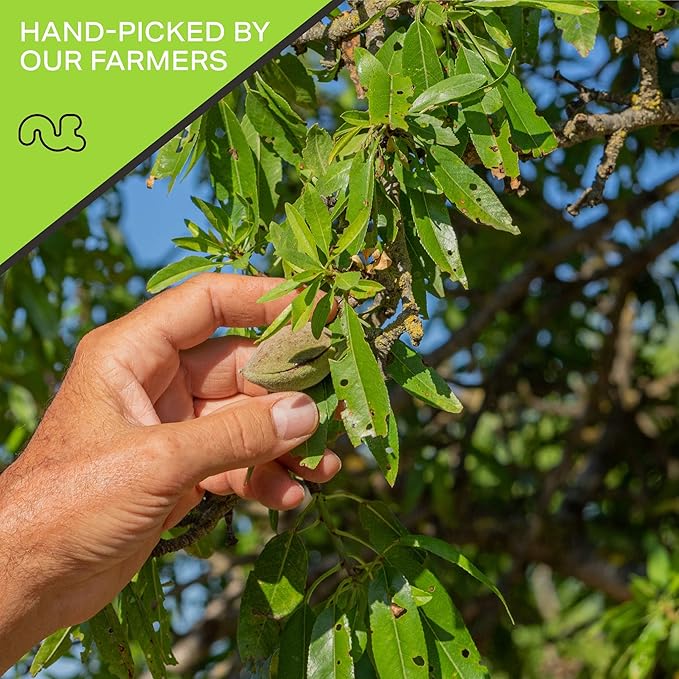 NUT CRAVINGS - Party Bar Nut Mix, Sweet & Savory Pub Snack - Smoked Almonds, Pretzels, Toffee Peanuts, Spicy, Honey Roasted Peanut (80oz - 5 LB) Packed Fresh in Resealable Bag - Food Assortments