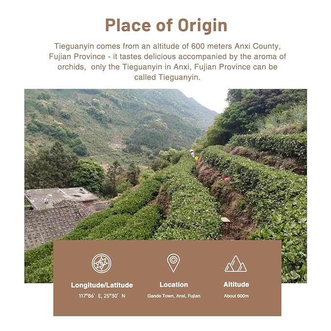 iTeaworld Tieguanyin-Green Oolong tea loose leaf - Natural Orchid Fragrance Authentic Fujian Anxi Tieguanyin 100g - Whole Tea leaves Oolong Tea for Health with 20 Empty Tea Bags, 3.5oz