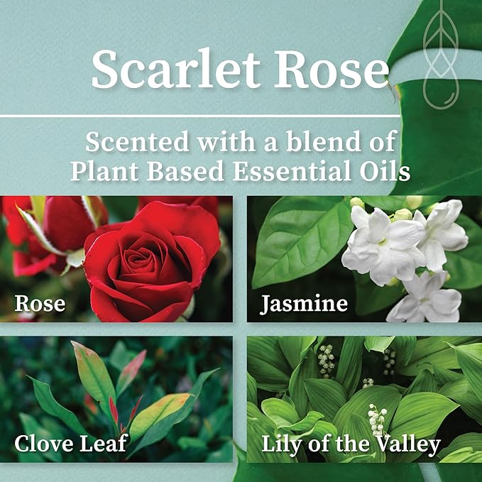 Hemlock Park Crackling Wood Wick Candle Handcrafted with Natural Coconut Wax (Large 16 oz, Scarlet Rose)