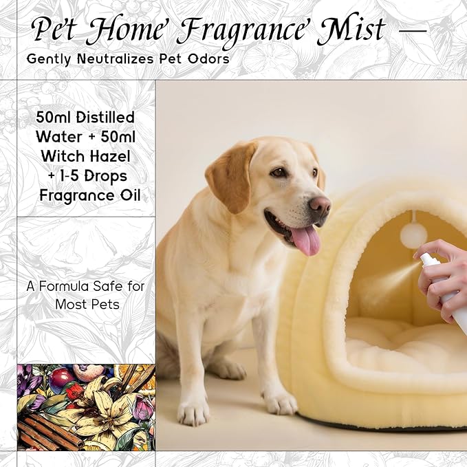 HIQILI Parisian Nocturne Fragrance Oil for Diffuser, Inspired by YL's M.on Paris, Candle & Soap & Perfume Balm Making, Sweet Notes, Long-Lasting Aroma - 5.07 Fl Oz