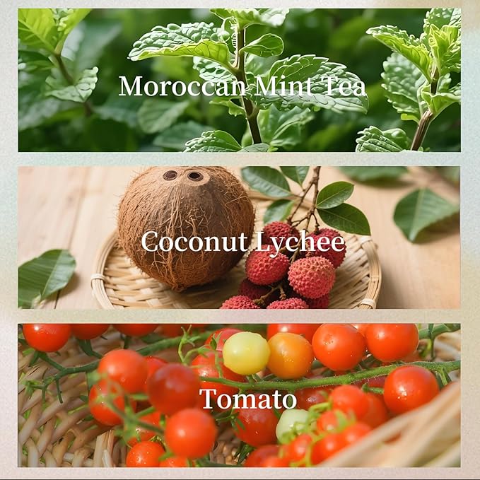 KRD Series Tomato Reed Diffuser Set, 3.38 fl oz (100ml) Scented Oil Diffuser with 8 Natural Rattan Sticks, Long-Lasting Fragrance for Home Office Bathroom Decor