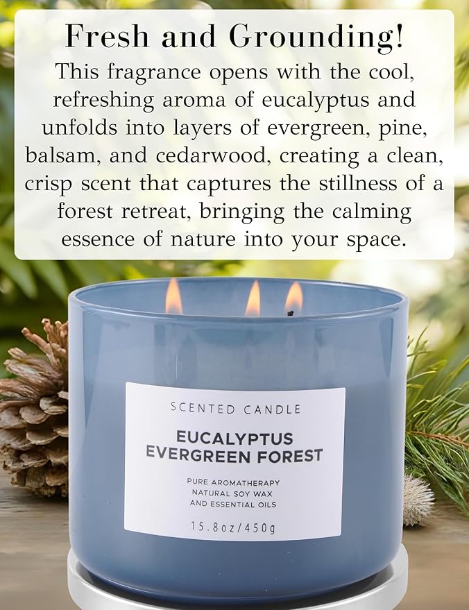 Eucalyptus Evergreen Forest 3-Wick Soy Candle, 15.8 oz | Winter Pine, Balsam Fir & Evergreen Scented Candle | Woodsy Aromatherapy Candle for Home | Clean Burn, Long-Lasting