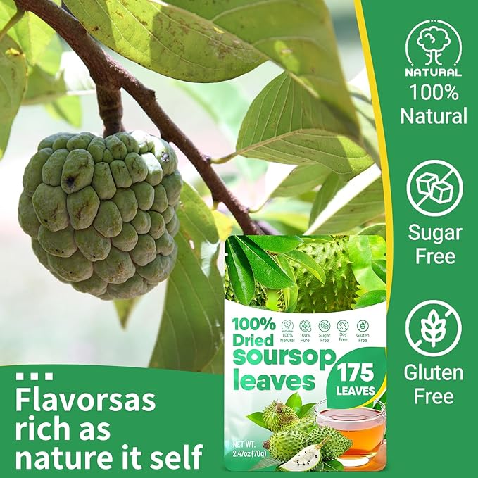 175+ Soursop Graviola Dried Leaves for Tea - 100% Natural Whole Dried Soursop Leaves, 2.47 oz (70 g), No Additives or Preservatives, Herbal Tea, Caffeine Free, Sugar/Soy/Gluten Free