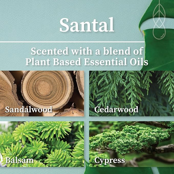 Hemlock Park Crackling Wood Wick Candle Handcrafted with Natural Coconut Wax (Standard 8 oz, Santal)