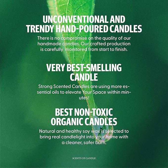 Hidden Label 4 Pack Candles for Home Scented, Aromatherapy Jar Candle Gifts for Women, Natural Candles Non Toxic Candles Set for Birthday Valentine Mother's Christmas Day Present