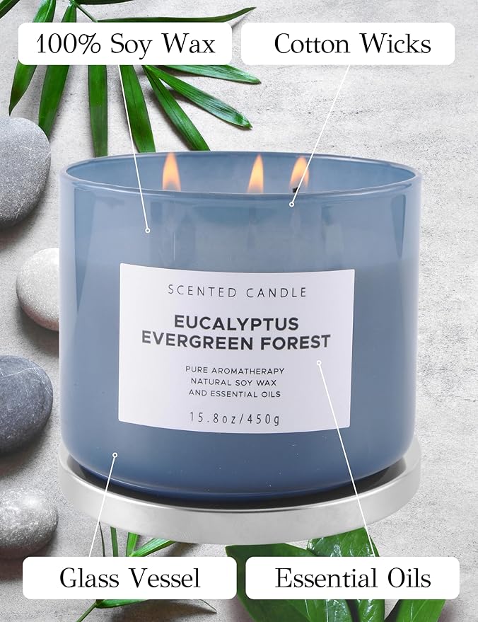 Eucalyptus Evergreen Forest 3-Wick Soy Candle, 15.8 oz | Winter Pine, Balsam Fir & Evergreen Scented Candle | Woodsy Aromatherapy Candle for Home | Clean Burn, Long-Lasting