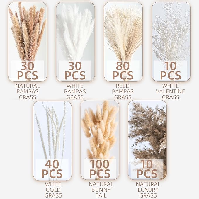 300PCS Natural Dried Pampas Grass Boho Home Decor Bouquet Phragmites Dried Flowers Bouquet for Wedding Floral Arrangements Home Decorations (300PCS)