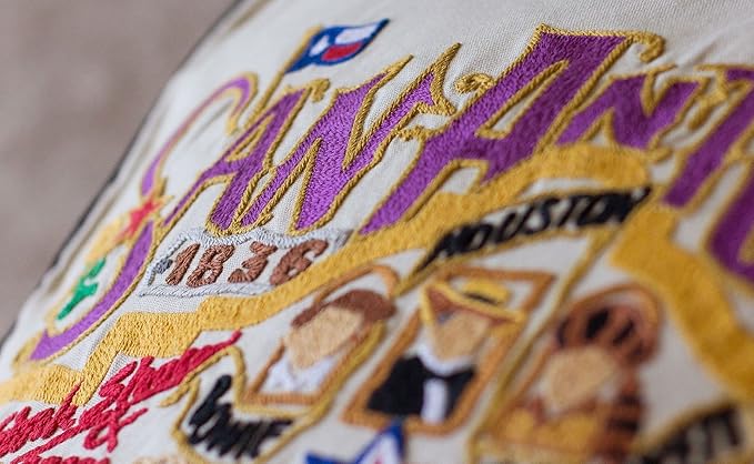 Catstudio San Antonio Embroidered Decorative Throw Pillow