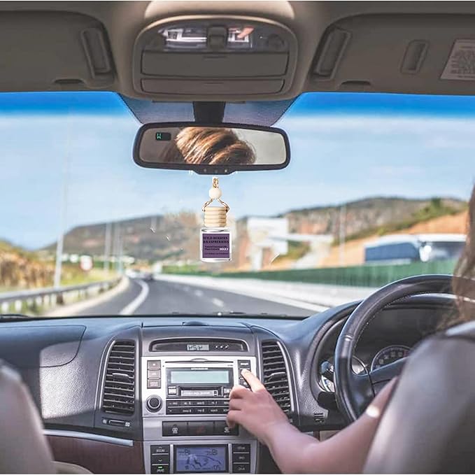 2Pack Wild Berries and Raspberries Scented Automotive Air Freshener Set, Car Accessories Decoration Hanging Scented Car Diffuser for Men Women