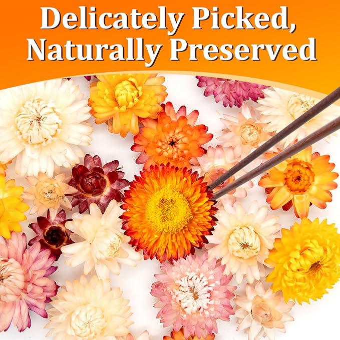 50+ Food Grade Dried Flowers for Cocktails Toppers, Colorful Strawflowers for Cake and Cupcake Decoration, 100% Natural Floral Blend for Drinks, Desserts and Tea Infusions