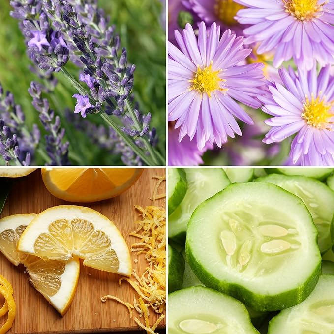 Candle Wood Collection, 15 oz, 1 Wooden Wick, Lavender Bloom, Square Glass Jar Candle