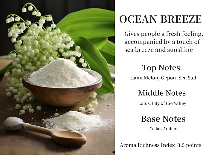 2Pack Ocean Breeze Scented Automotive Air Freshener Set, Car Accessories Decoration Hanging Scented Car Diffuser for Men Women Best Gifts