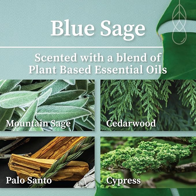 Hemlock Park Crackling Wood Wick Candle Handcrafted with Natural Coconut Wax (Standard 8 oz, Blue Sage)