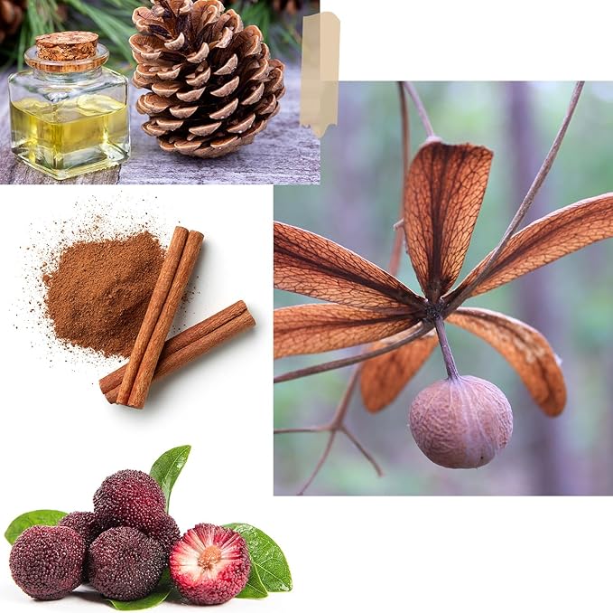 ROMIIE ZOI Christmas Scented Candle - 6oz Soy Wax Candle, Let it Snow, Infused with Christmas Pine Aroma - Brown & Red Gift Box Packaged for Christmas Holiday Season Gift